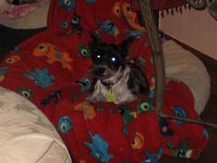 Splash1.JPG Splash1.JPG